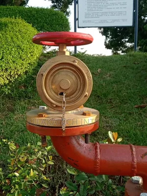 Landing Valve
