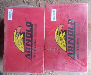 Photo - Motor Battery