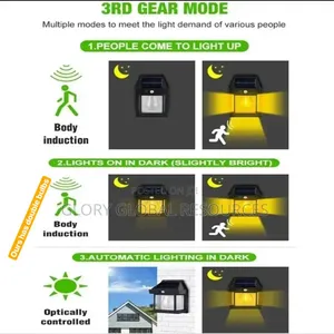 Solar Induction Wall Double Bulb Lamp