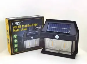 Solar Induction Wall Double Bulb Lamp