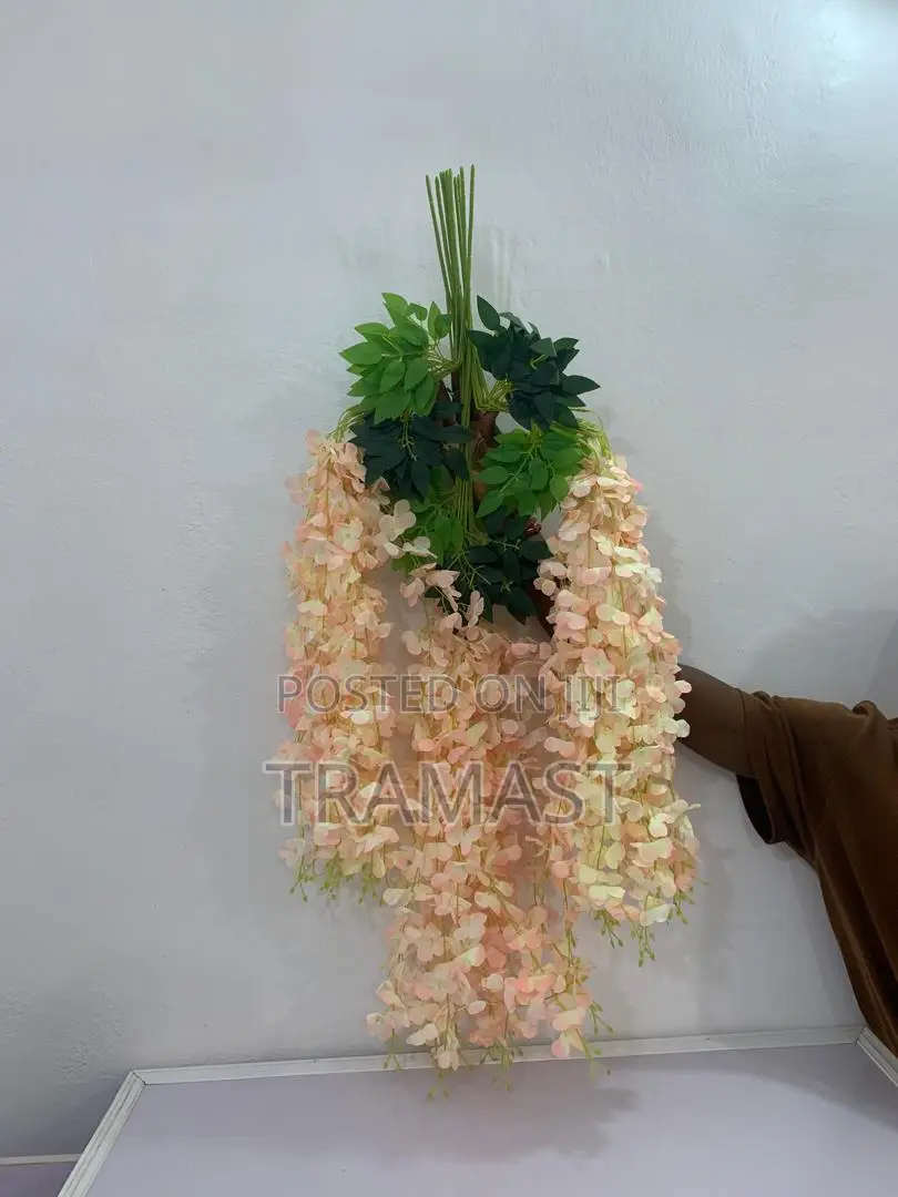 Wisteria Flower for Decoration