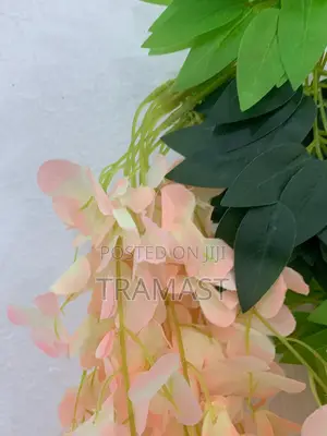 Wisteria Flower for Decoration