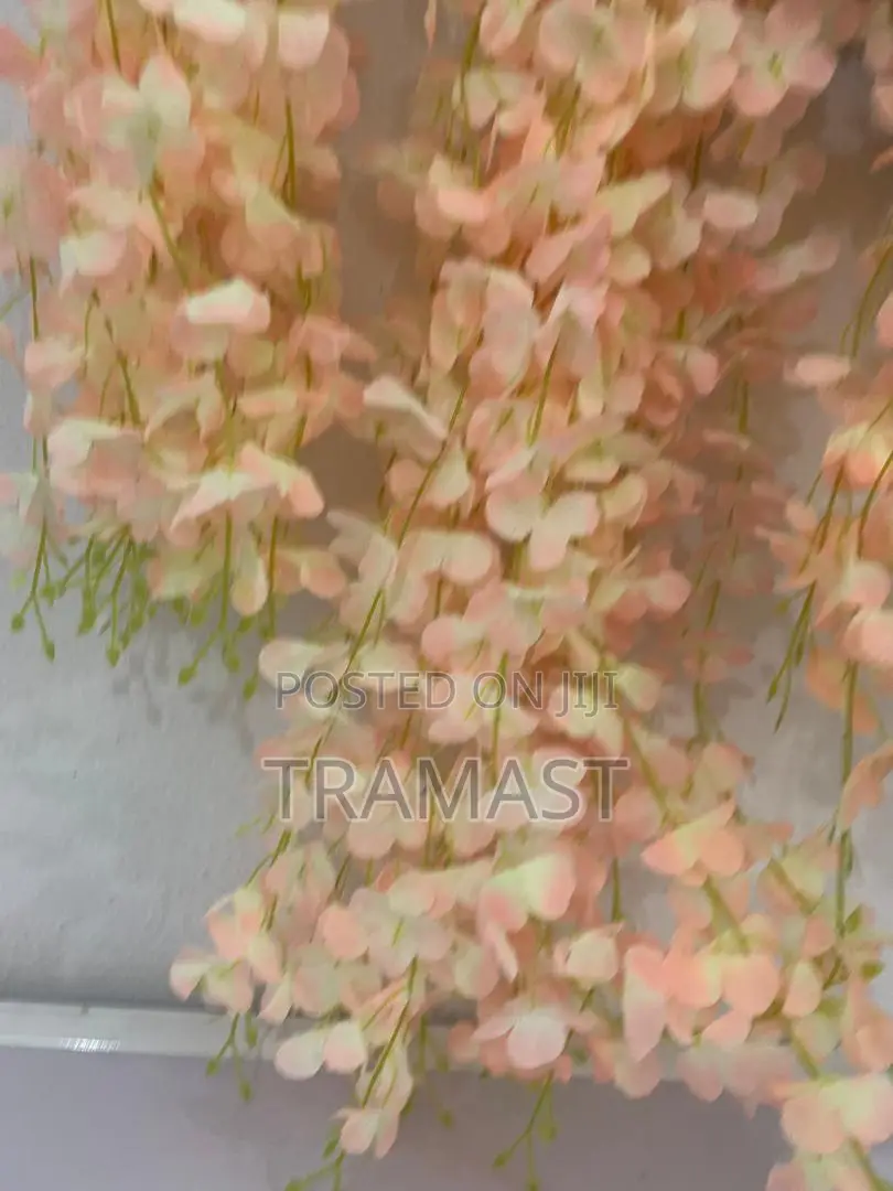 Wisteria Flower for Decoration