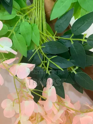 Wisteria Flower for Decoration