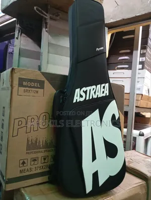 Sophisticated Lead And Bass Bag Carrier