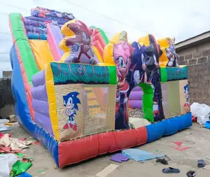 Giant Sonic Slide Bouncing Castle for Rent