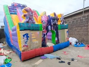 Giant Sonic Slide Bouncing Castle for Rent