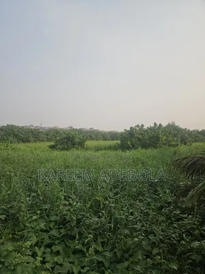 5 Hectares at Katampe Extension