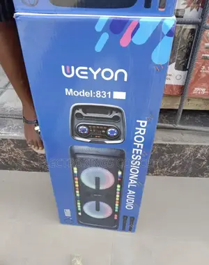 Rechargeable Indoor/Outdoor Party Speaker