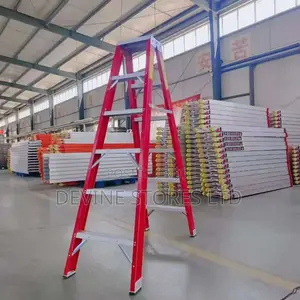 5 Steps Double Sided a Ladder