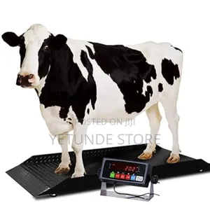 Farm Animal Scale | Digital Livestock Weighing Equipment