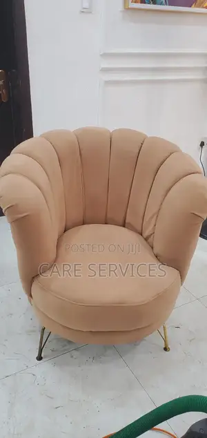 Detailed Sofa/Upholstery Cleaning