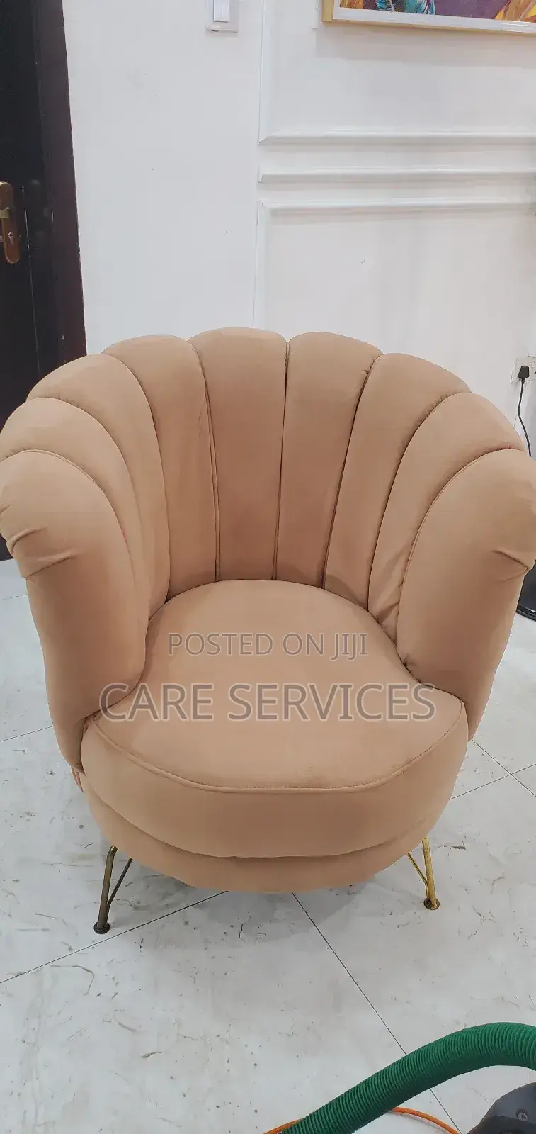 Detailed Sofa/Upholstery Cleaning