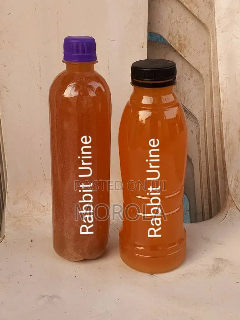 Rabbit Urine for Sale