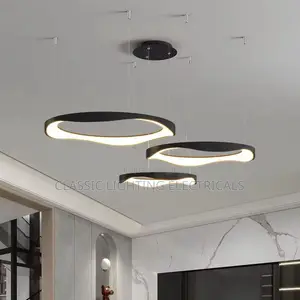 Modern Led Chandelier Nordic Circular Black White Led Pendan