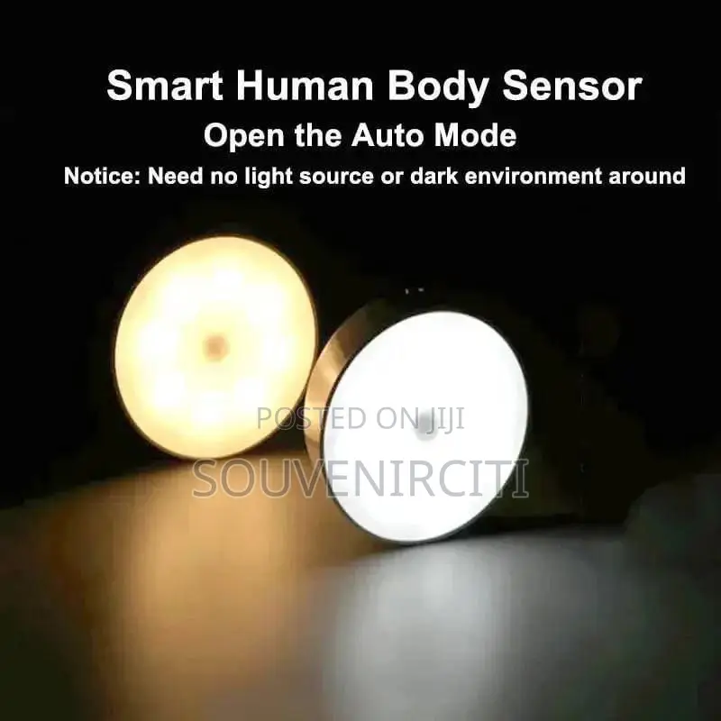 Body Induction Light FIXED PRICE