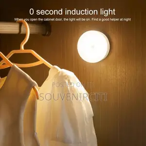 Body Induction Light FIXED PRICE