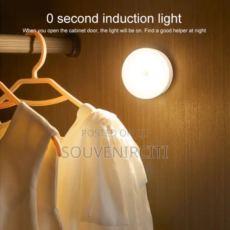 Body Induction Light FIXED PRICE