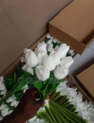 Tulips Flower