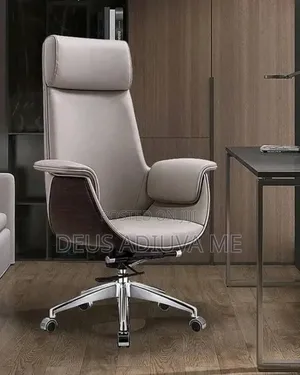 Executive Office Chair for Boss Ceo