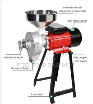 Wet and Dry Grinder
