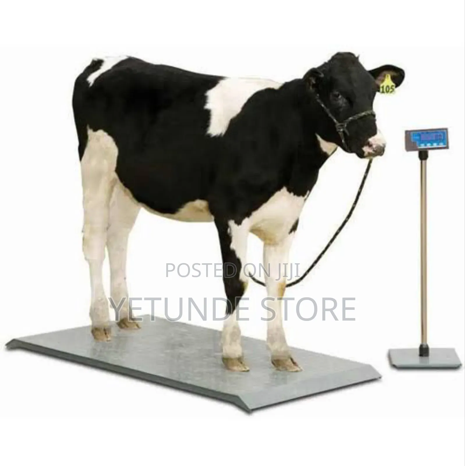 Veterinary Scale for Pet and Animals