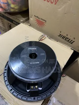 Photo - Titanic 12”Big Magnet Naked Speaker