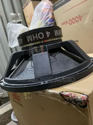Titanic 18”Naked Sub Speaker,Big Magnet