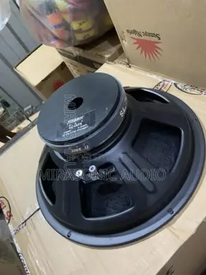Titanic 15"Big Magnet Naked Speaker
