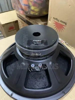 Photo - Titanic 15"Big Magnet Naked Speaker