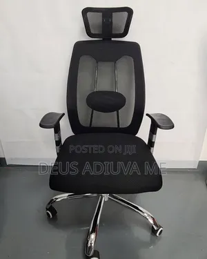 Ergonomic Office Chair With Adjustable Hand