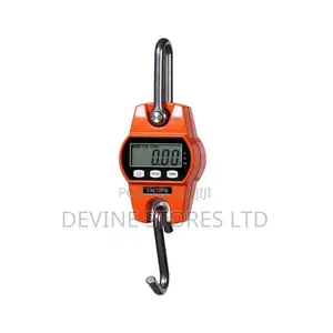 1000kg Digital Crane Scale