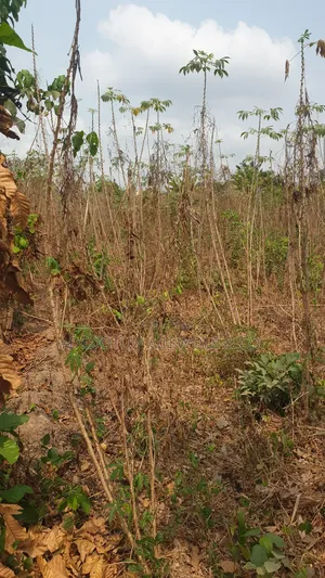 Photo - A Residential Plot of Land at Idi Obi Off Ologuneru Ido Ib.
