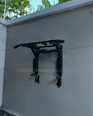 Wall Mounted Pull Up Bar PT110