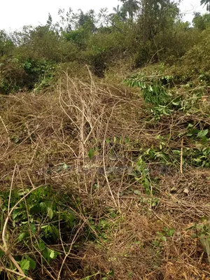 Photo - A 2plot of Land at Osarinu at Ido Road Off Ologuneru Ibadan