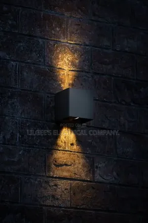 Led Wall/ Fence /Outdoor Light