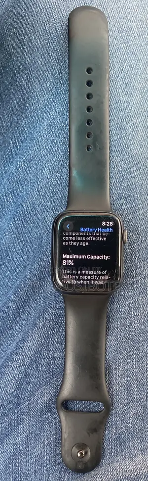 Apple Watch