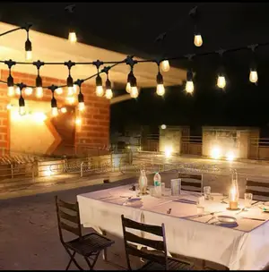 Complete Rope Drop Light 20 Drop+Bulb