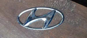Hyundai Santa Fe Logo 2012-2014