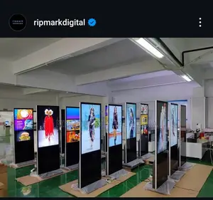 55 Inches Non Touch Screen