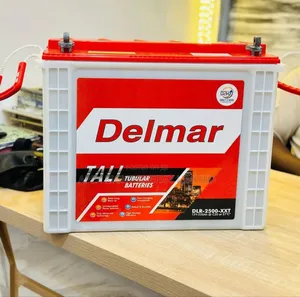 220ah_12volts Delmar Tubular Battery