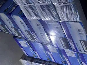 Luminous Solar Inverter 1kva