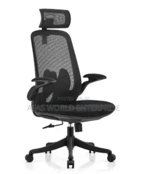 Beautiful Office Ergonomic Swivel Chair