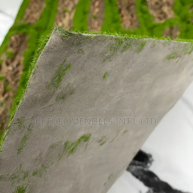 Artificial Moss Wallmat for Outdoor Decoration