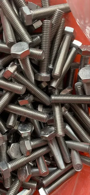 M20x 100mm Stainless Bolt Nut(A2-70)