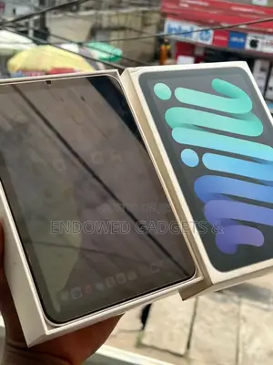 Apple iPad mini 6 64 GB Gray
