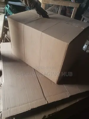 Big 5 Ply Carton for 50kg and 25kg Capacity