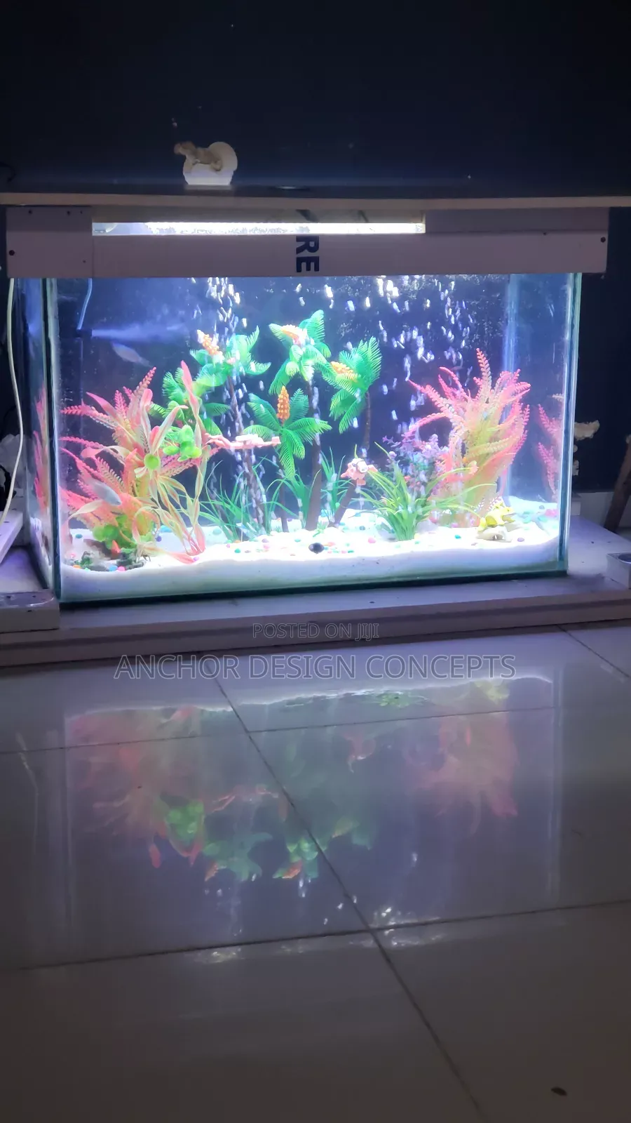 Aquarium Maintenance and Servicing