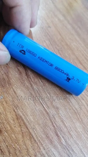 Batteries for Rechargeables Pack of 10