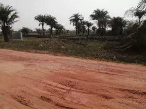 Buy Dryland at Facing Expressway at Ode-Omi, Dangote Refinery Ax,Ogun State